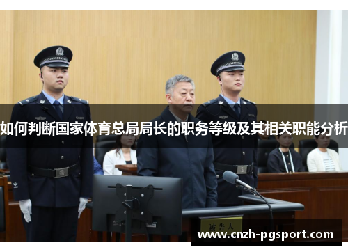 如何判断国家体育总局局长的职务等级及其相关职能分析