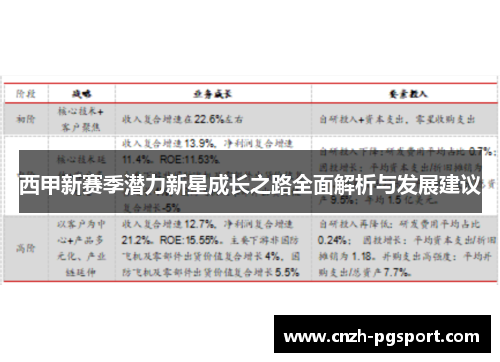 西甲新赛季潜力新星成长之路全面解析与发展建议