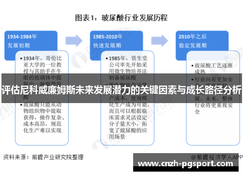 评估尼科威廉姆斯未来发展潜力的关键因素与成长路径分析