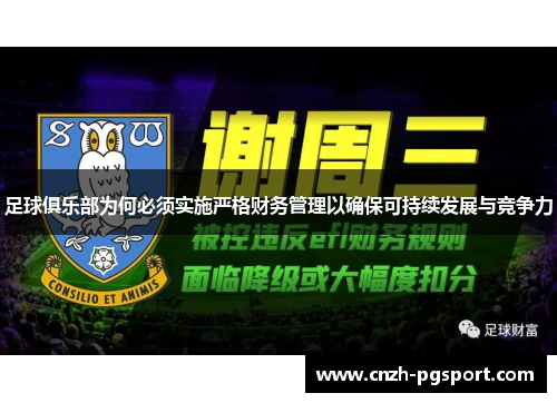 足球俱乐部为何必须实施严格财务管理以确保可持续发展与竞争力 足球俱乐部为何必须实施严格财务管理以确保可持续发展与竞争力