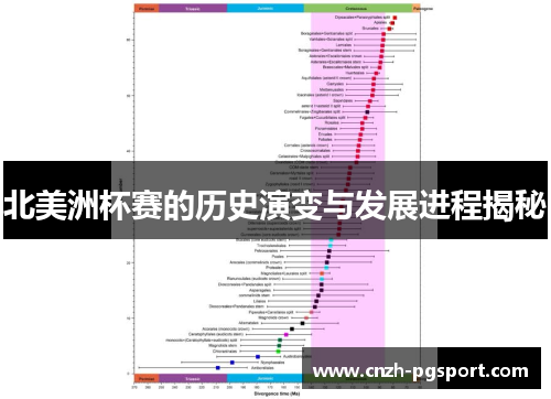北美洲杯赛的历史演变与发展进程揭秘 北美洲杯赛的历史演变与发展进程揭秘