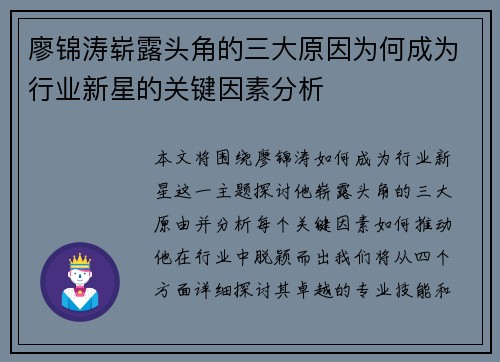 廖锦涛崭露头角的三大原因为何成为行业新星的关键因素分析