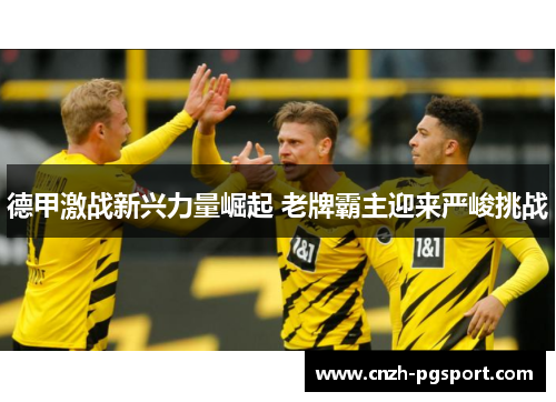 德甲激战新兴力量崛起 老牌霸主迎来严峻挑战