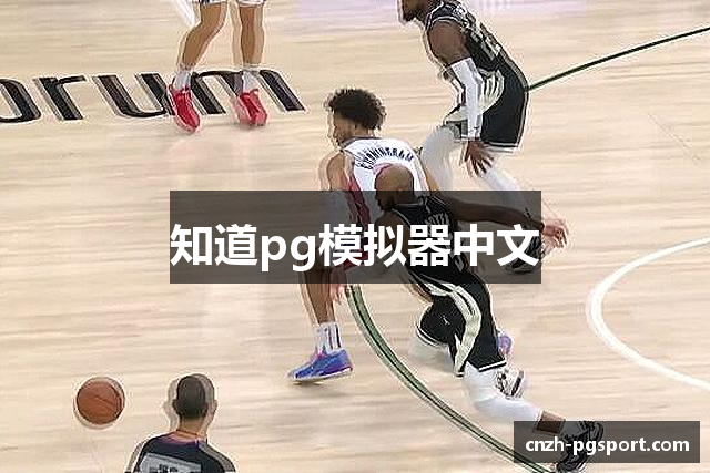 知道pg模拟器中文